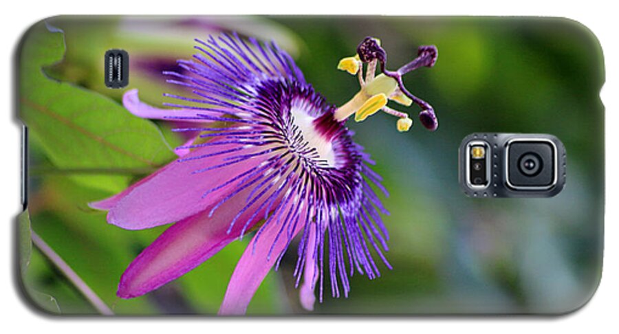 Passion Flower Galaxy S5 Case featuring the photograph Purple Passion Flower by Living Color Photography Lorraine Lynch