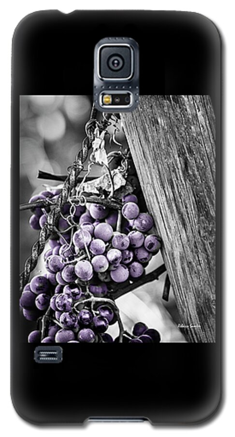 Vine Galaxy S5 Case featuring the photograph Purple Punch by Rebecca Samler