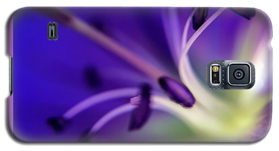 Flower Galaxy S5 Case featuring the photograph Purple Starburst by Terri Hart-Ellis