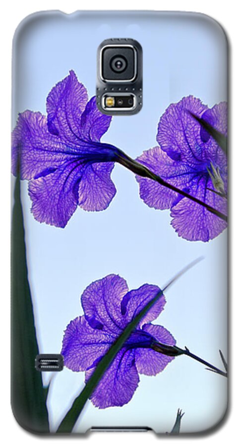 Flower Galaxy S5 Case featuring the photograph Purple Trio by Christopher Holmes