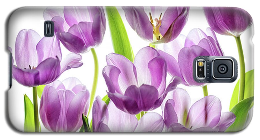 Tulips Galaxy S5 Case featuring the photograph Purple Tulips by Rebecca Cozart