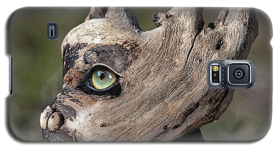 Wood Galaxy S5 Case featuring the digital art Quan the Satyr by Rick Mosher