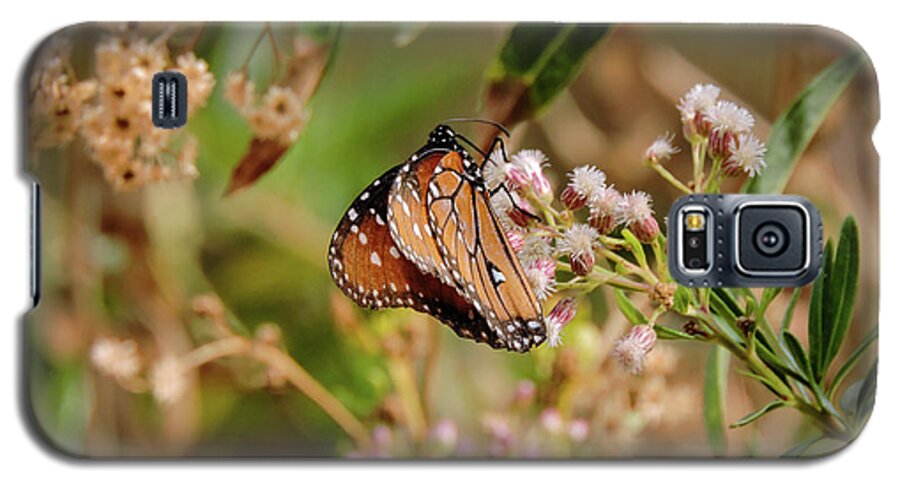 Queen Butterfly Galaxy S5 Case featuring the photograph Queen of the Hassayampa by Gaelyn Olmsted