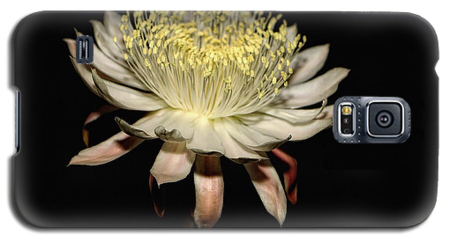Flowers Galaxy S5 Case featuring the photograph Queen Of The Night by Elaine Malott