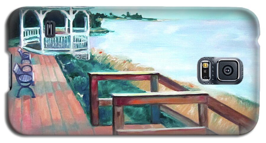 Art Galaxy S5 Case featuring the painting Quiet Waters Park by Karen Francis