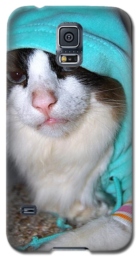 Rag Doll Galaxy S5 Case featuring the photograph Rag Doll in Sweat Suit 2 by Angela Murray
