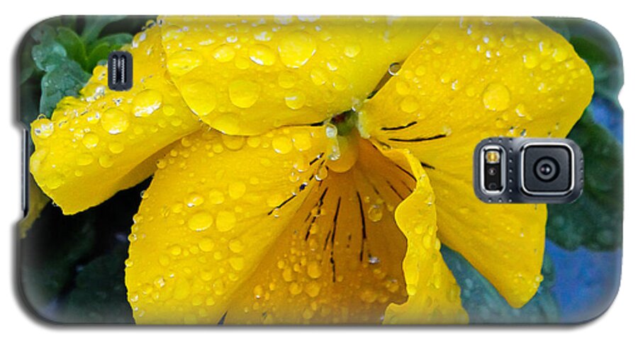 Floral Galaxy S5 Case featuring the photograph Raindrops on Yellow Pansy by E Faithe Lester
