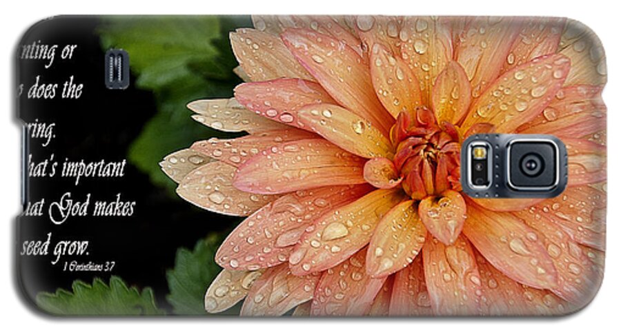 Peach Galaxy S5 Case featuring the photograph Rainy Days by Deborah Klubertanz
