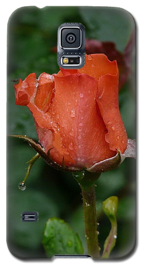 Flower Galaxy S5 Case featuring the photograph Rainy Rose Bud by Valerie Ornstein