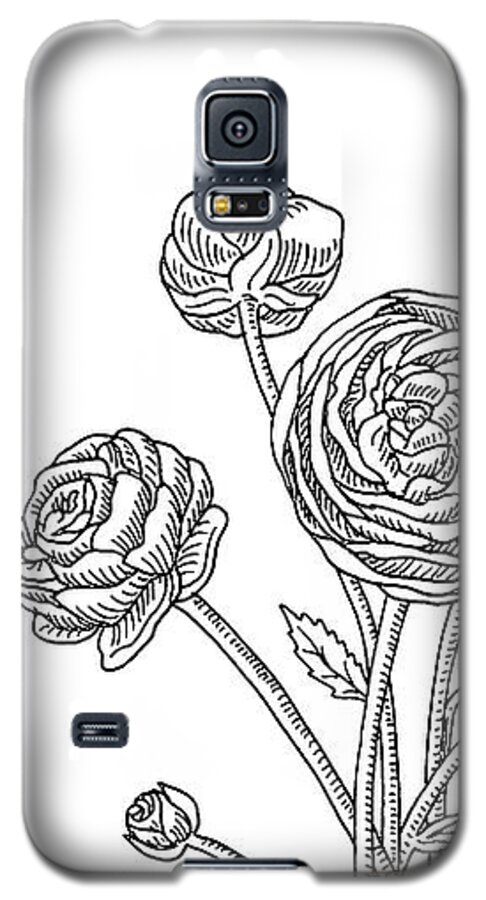 Ranunculus Galaxy S5 Case featuring the painting Ranunculus Flower Botanical Drawing by Irina Sztukowski