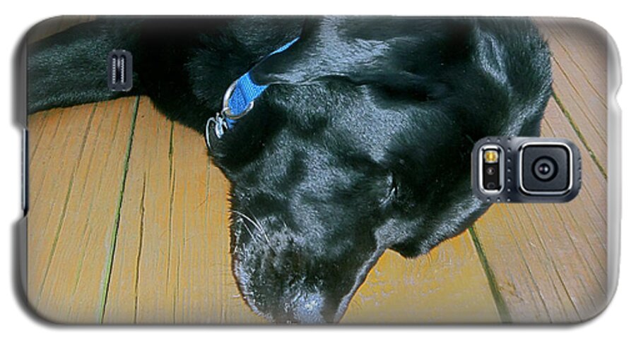 2d Galaxy S5 Case featuring the photograph Raven Resting by Brian Wallace