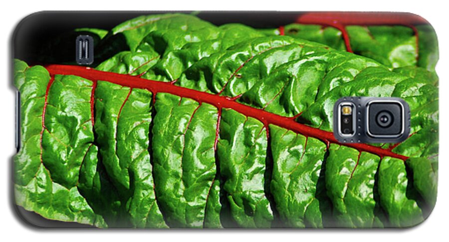 Kale Galaxy S5 Case featuring the photograph Raw Food by Harry Spitz