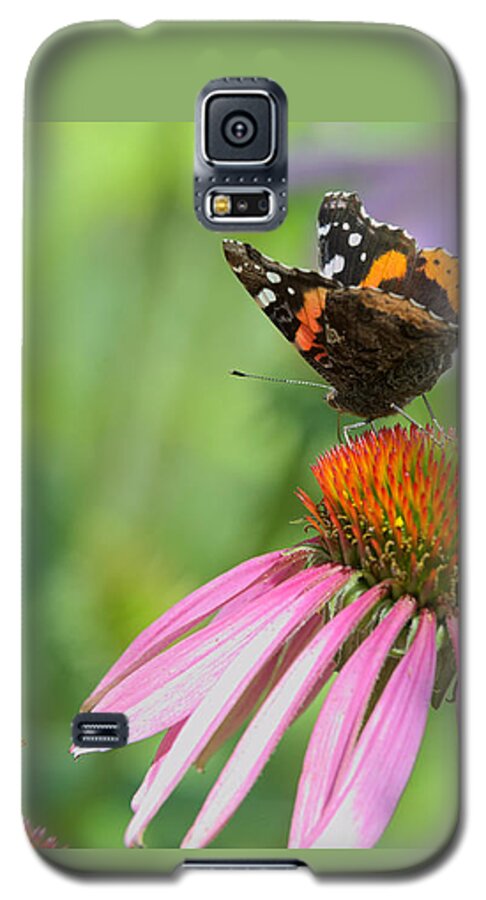 Butterfly Galaxy S5 Case featuring the photograph Red Admiral on Cone Flower by Kae Cheatham