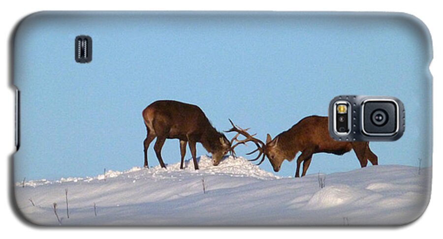 Red Deer Stags Galaxy S5 Case featuring the photograph Red deer stags - winter sparring by Phil Banks