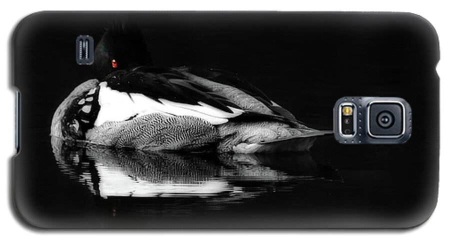 Loon Galaxy S5 Case featuring the photograph Red Eye by Lori Deiter