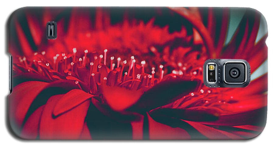 Red Flowers Galaxy S5 Case featuring the photograph Red Flowers Parametric by Sharon Mau