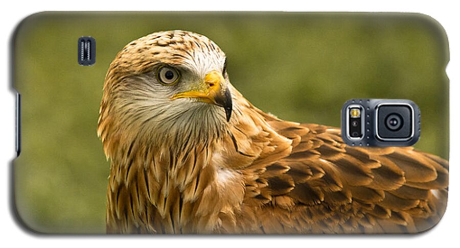 Red Kite Galaxy S5 Case featuring the photograph Red Kite by Scott Carruthers