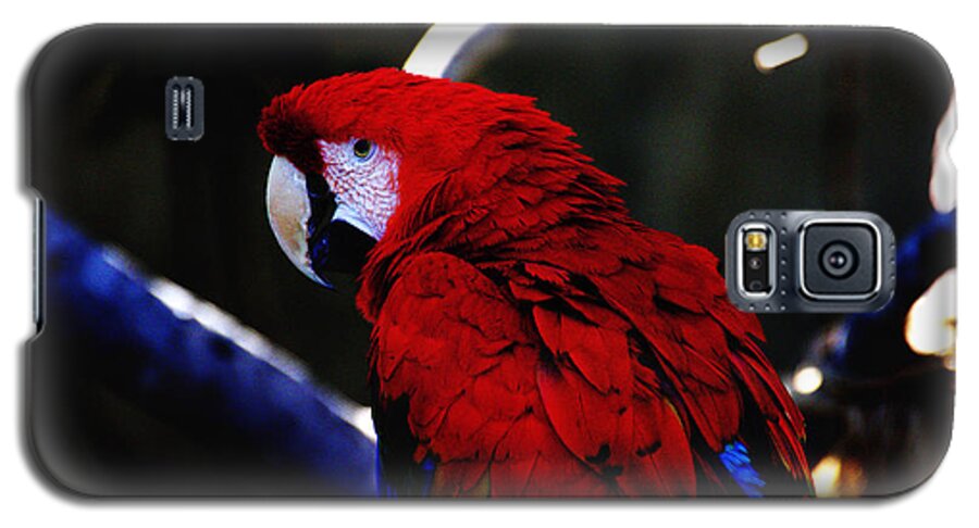  Galaxy S5 Case featuring the photograph Red Parrot by David Frederick