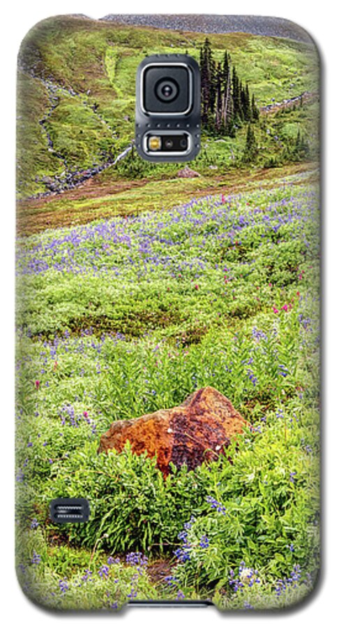 Red Rock Galaxy S5 Case featuring the photograph Red Rock of Rainier by Pierre Leclerc Photography