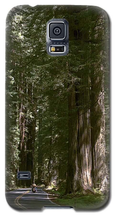 Redwood Highway Galaxy S5 Case featuring the photograph Redwood Highway by Wes and Dotty Weber