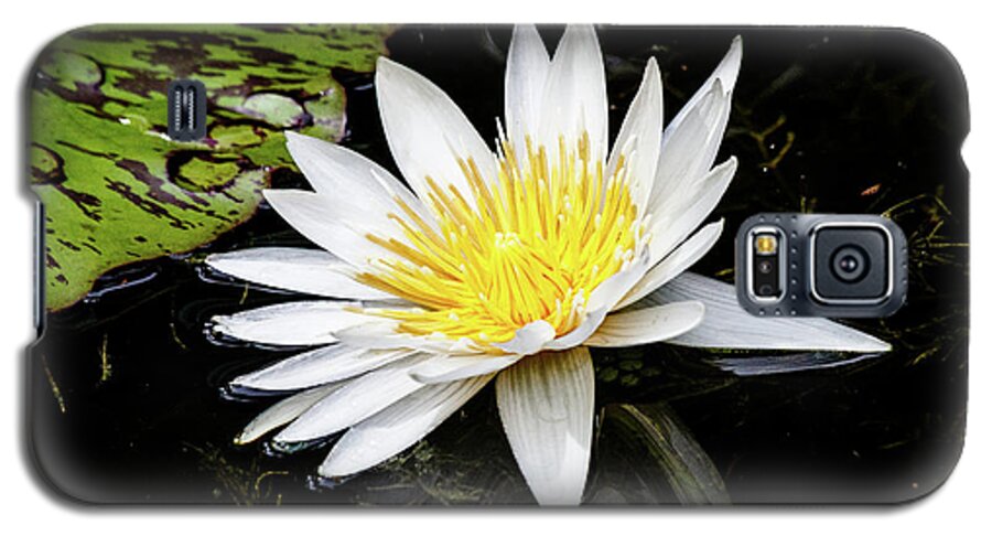 Lily Galaxy S5 Case featuring the photograph Reflective Lily by Les Greenwood