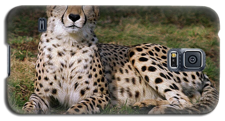 Cheetah Galaxy S5 Case featuring the photograph Regal Pose by Art Cole