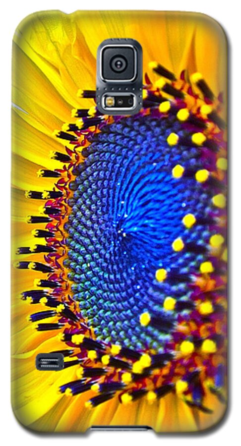 Photographs Galaxy S5 Case featuring the photograph Rejoice by Gwyn Newcombe