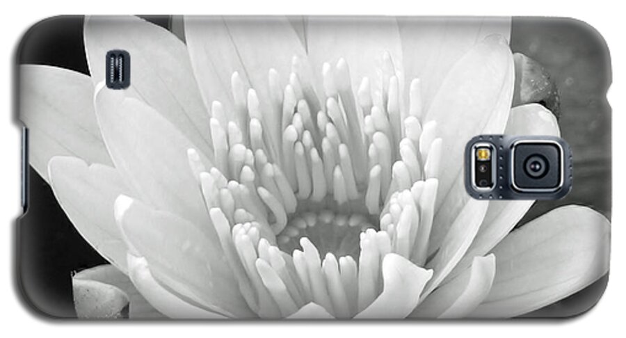 Water Lily Galaxy S5 Case featuring the photograph Remember When II by Melanie Moraga