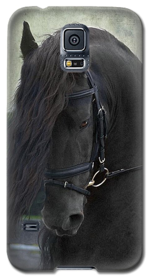 Horses Galaxy S5 Case featuring the photograph Remme by Fran J Scott