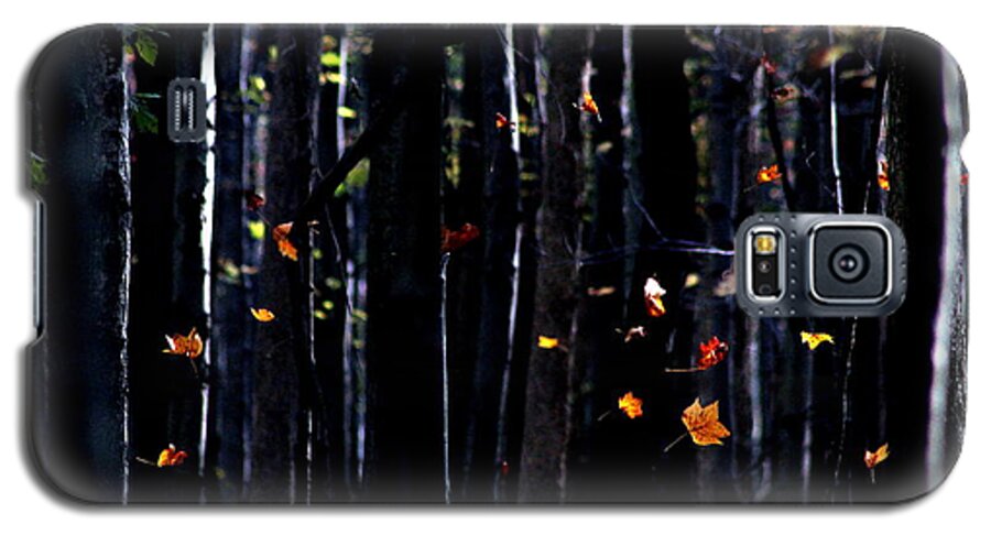 October Galaxy S5 Case featuring the photograph Rhythm of Leaves Falling by Bruce Patrick Smith