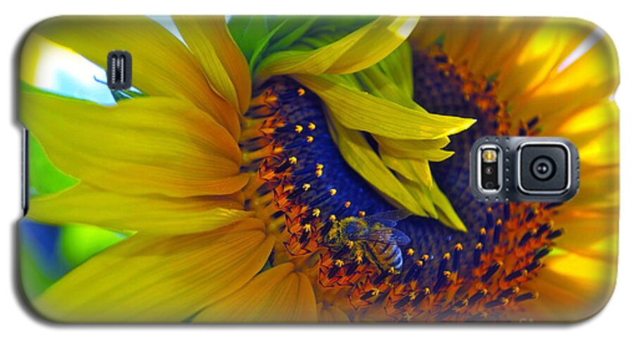 Sunflower Galaxy S5 Case featuring the photograph Rich in Pollen by Gwyn Newcombe