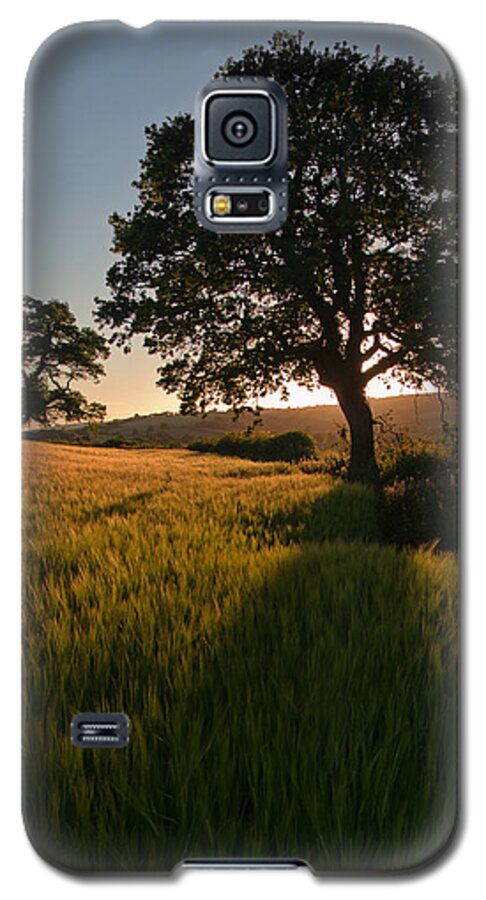 Farmland Bradninch Galaxy S5 Case featuring the photograph Ripe harvest at the end of the day by Pete Hemington