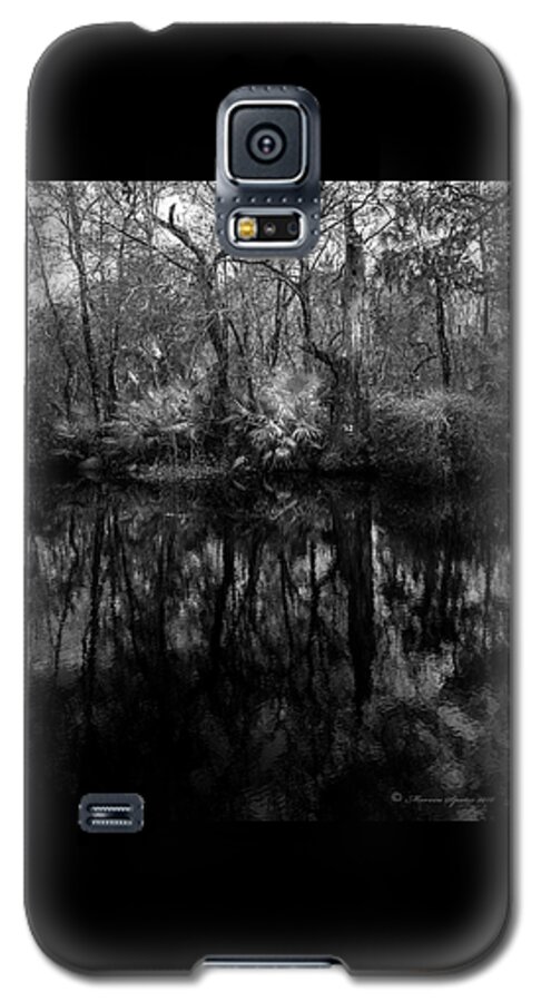 Booker Creek Galaxy S5 Case featuring the photograph River Bank Palmetto by Marvin Spates