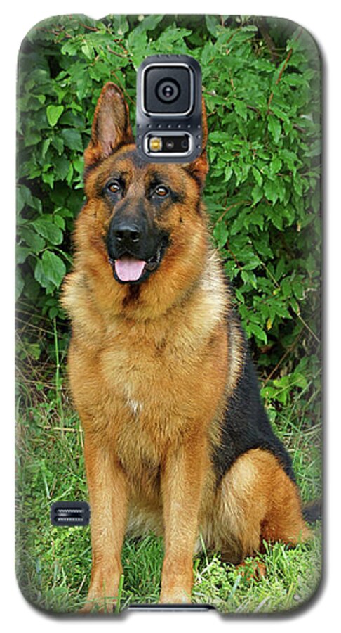 German Shepherd Galaxy S5 Case featuring the photograph Rocco Sitting by Sandy Keeton