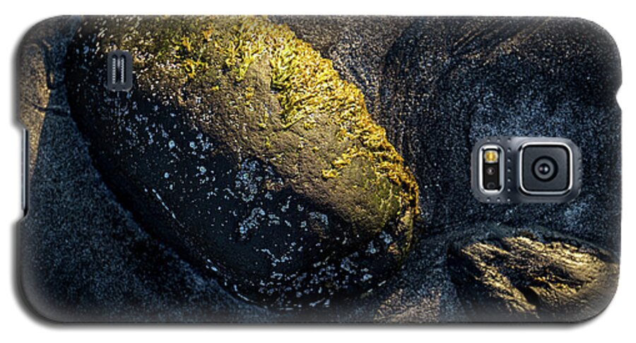 Landscape Galaxy S5 Case featuring the photograph Rocks from Talisker Beach 1 by Davorin Mance