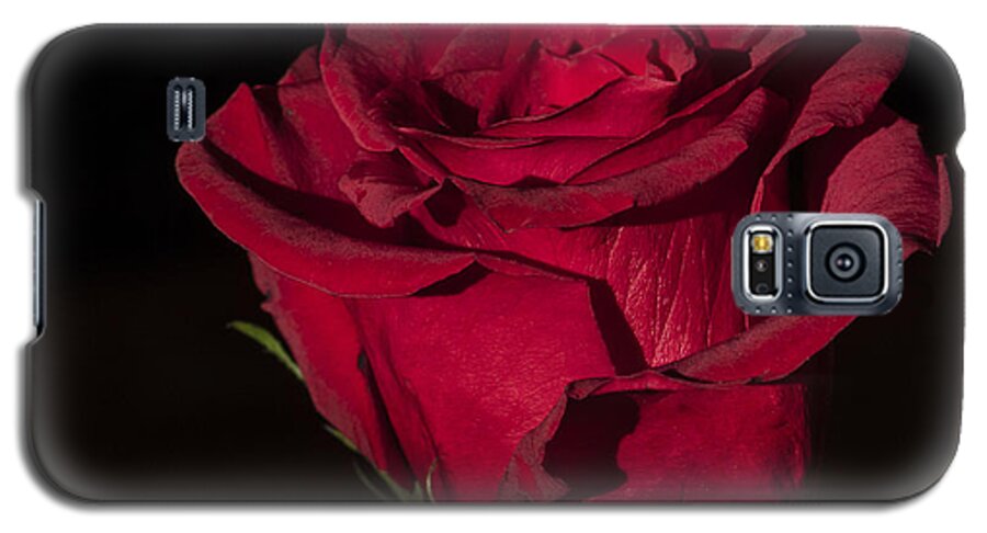 Flower Galaxy S5 Case featuring the photograph Romantic Rose by Joann Long