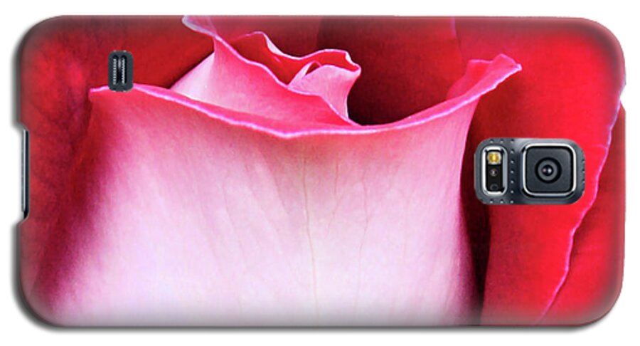 Rose Galaxy S5 Case featuring the photograph Rose Petals by Kristin Elmquist