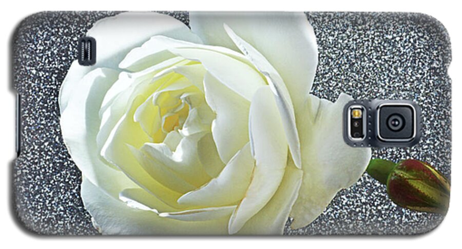 White Rose Galaxy S5 Case featuring the photograph Rose With Some Sparkle by Terence Davis