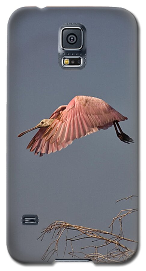 Roseate Spoonbill Galaxy S5 Case featuring the photograph Roseate Spoonbill in Flight by John Harmon