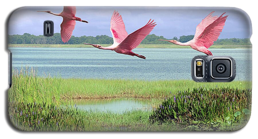 Birds Galaxy S5 Case featuring the digital art Roseate Spoonbills of Florida Bay by M Spadecaller