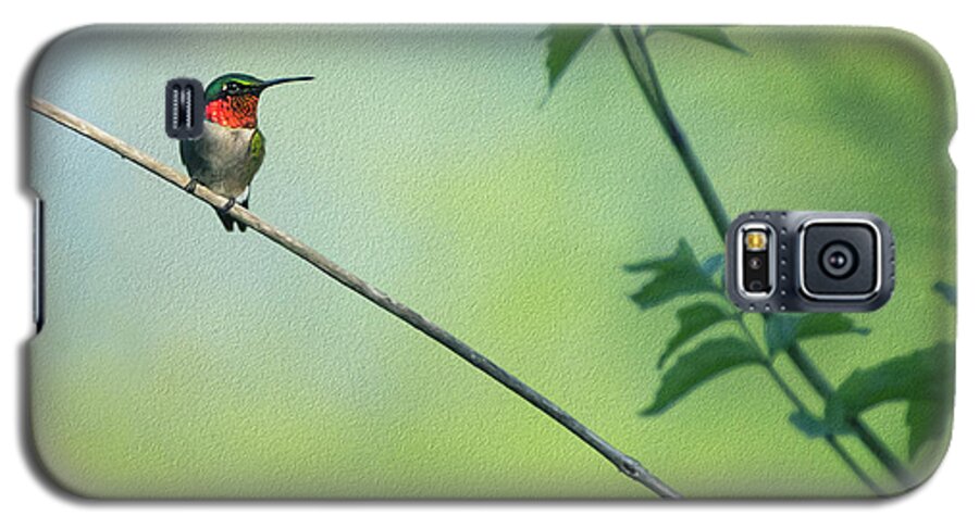 Hummingbird Galaxy S5 Case featuring the photograph Ruby Red Perch by Art Cole