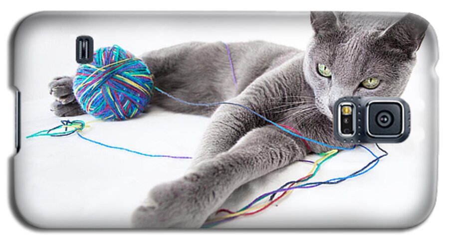 Russian Galaxy S5 Case featuring the photograph Russian Blue by Nailia Schwarz