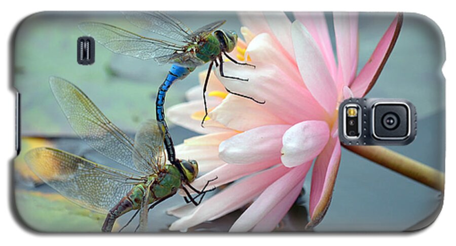 Green Darner Dragonflies Galaxy S5 Case featuring the photograph Safe Place To Land by Fraida Gutovich