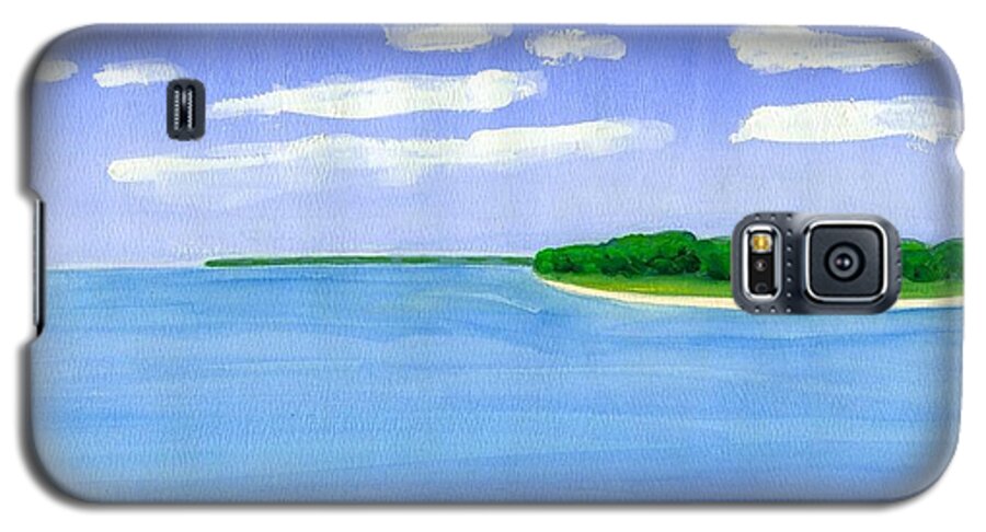 Sag Harbor Galaxy S5 Case featuring the painting Sag Harbor, Long Island by Dick Sauer