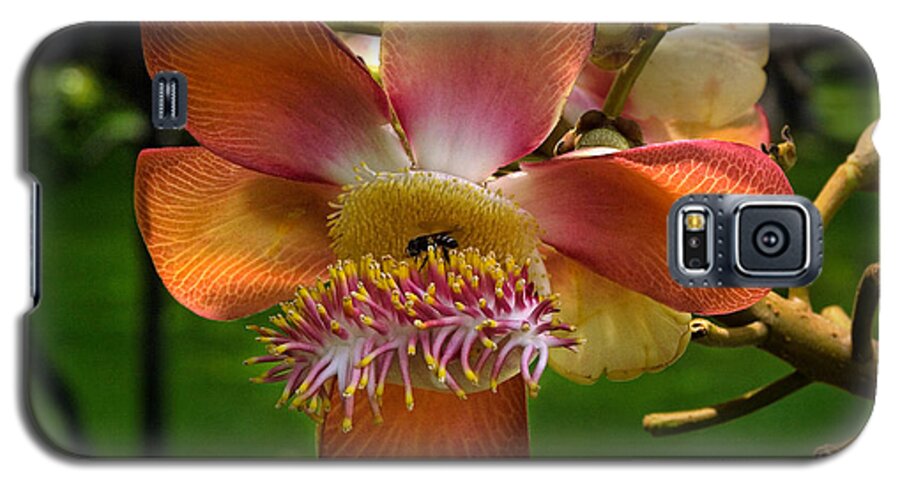 Scenic Galaxy S5 Case featuring the photograph Sara Tree Flower DTHB104 by Gerry Gantt