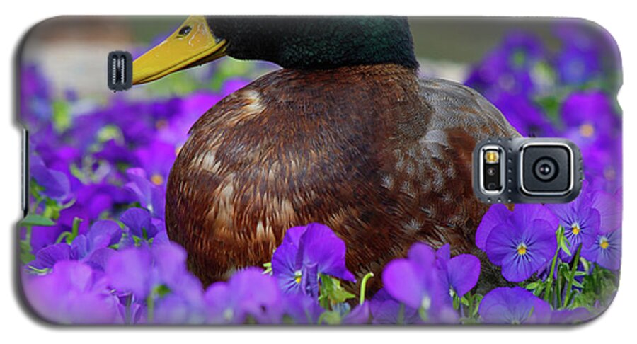Duck Galaxy S5 Case featuring the photograph Say Quack by Les Greenwood