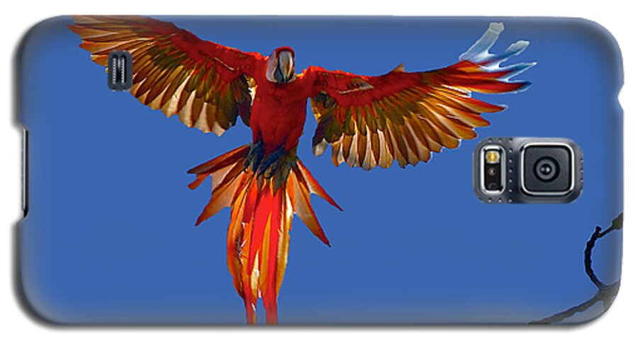 Scarlet Macaw Galaxy S5 Case featuring the photograph Scarlet Macaw on the Osa Peninsula by Don Mercer