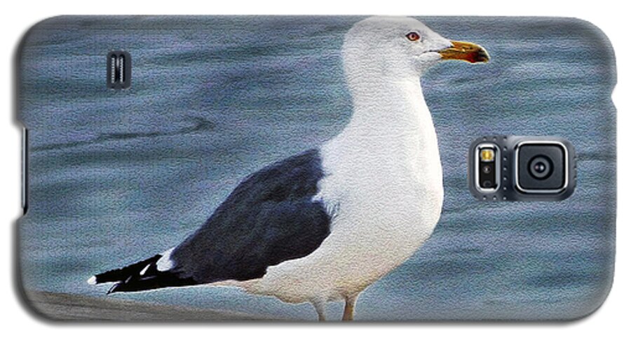 Bird Galaxy S5 Case featuring the photograph Seagull Portrait by Sue Melvin