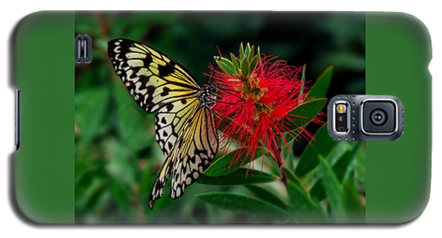 Insects Galaxy S5 Case featuring the photograph Searching for Nectar by Nick Bywater