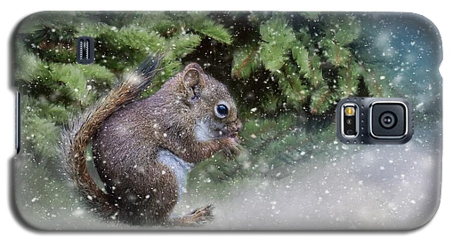 Squirrel Galaxy S5 Case featuring the photograph Season's Greetings by Eva Lechner